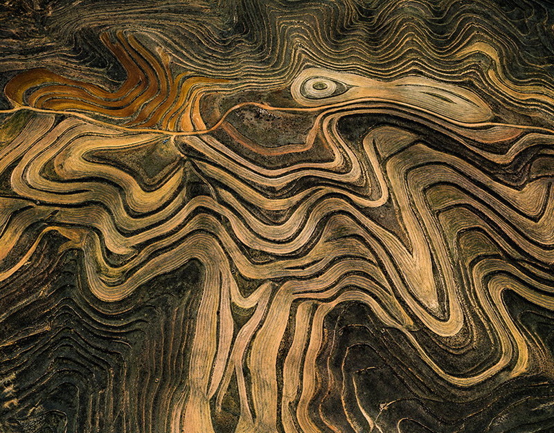 Луга 2011 21.jpg
